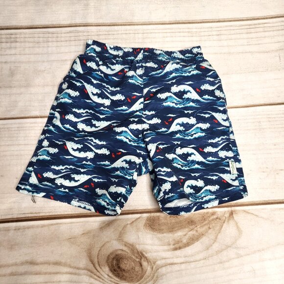 Green Sprouts Trunks with Built-In Reusable Swim Diaper - Picture 2 of 7